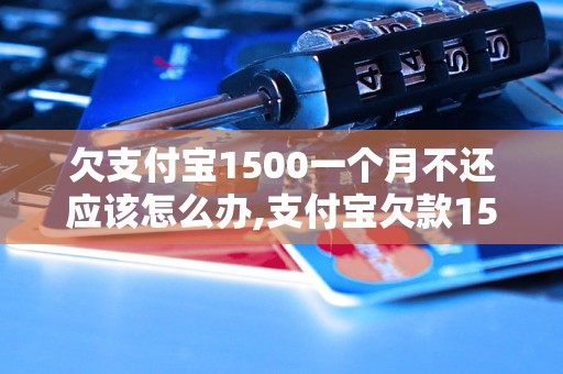 欠支付宝1500一个月不还应该怎么办,支付宝欠款1500一个月逾期处理方法