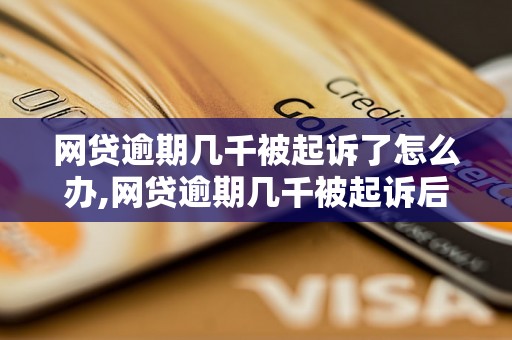 网贷逾期几千被起诉了怎么办,网贷逾期几千被起诉后如何应对