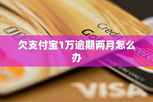 欠支付宝1万逾期两月怎么办