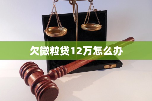 欠微粒贷12万怎么办