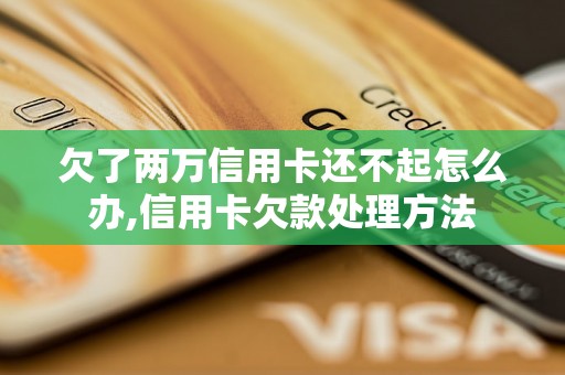 欠了两万信用卡还不起怎么办,信用卡欠款处理方法