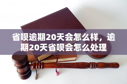 省呗逾期20天会怎么样，逾期20天省呗会怎么处理