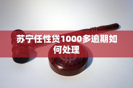 苏宁任性贷1000多逾期如何处理