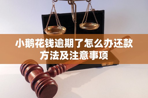 小鹅花钱逾期了怎么办还款方法及注意事项