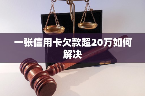 一张信用卡欠款超20万如何解决