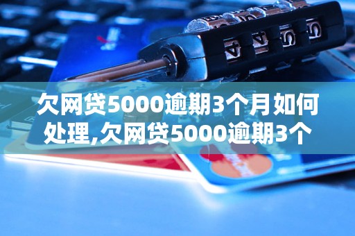 欠网贷5000逾期3个月如何处理,欠网贷5000逾期3个月后果严重吗