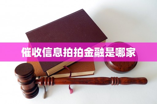 催收信息拍拍金融是哪家