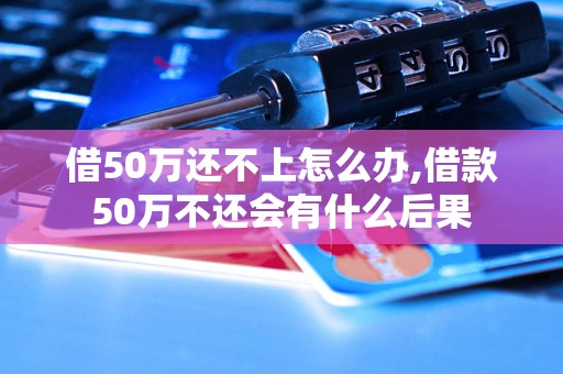 借50万还不上怎么办,借款50万不还会有什么后果