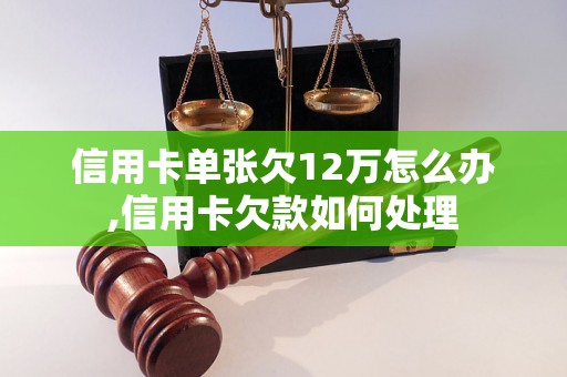 信用卡单张欠12万怎么办,信用卡欠款如何处理