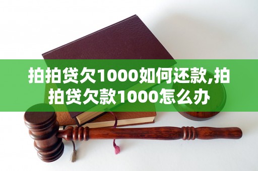 拍拍贷欠1000如何还款,拍拍贷欠款1000怎么办