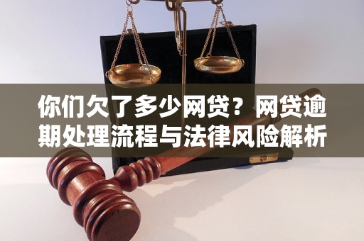 你们欠了多少网贷？网贷逾期处理流程与法律风险解析