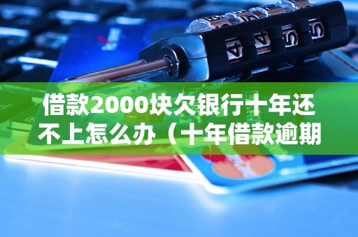 借款2000块欠银行十年还不上怎么办（十年借款逾期处理方法）