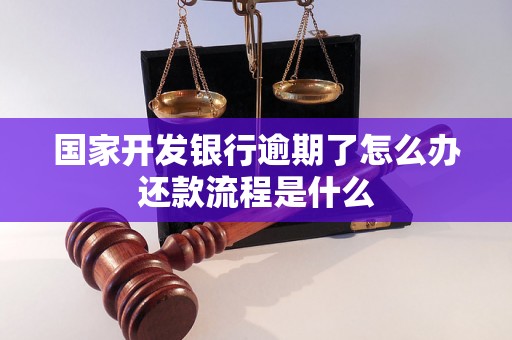 国家开发银行逾期了怎么办还款流程是什么