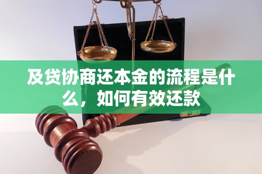 及贷协商还本金的流程是什么，如何有效还款