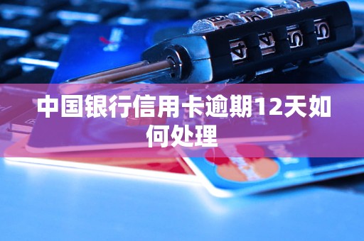 中国银行信用卡逾期12天如何处理