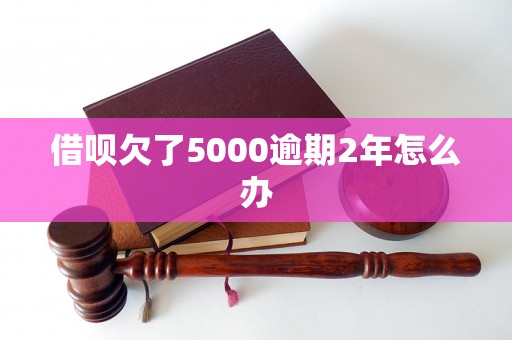 借呗欠了5000逾期2年怎么办