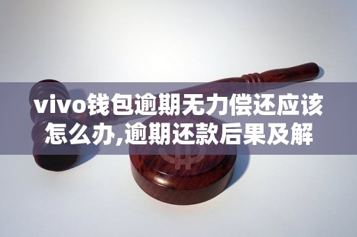 vivo钱包逾期无力偿还应该怎么办,逾期还款后果及解决方法