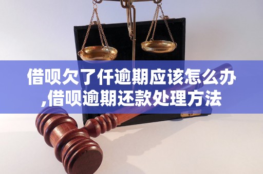 借呗欠了仟逾期应该怎么办,借呗逾期还款处理方法