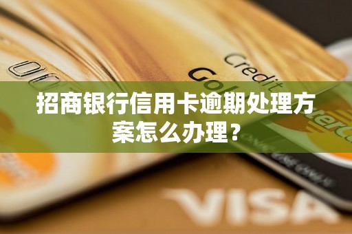 招商银行信用卡逾期处理方案怎么办理？