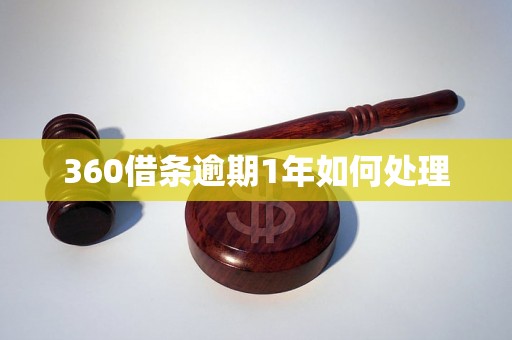 360借条逾期1年如何处理