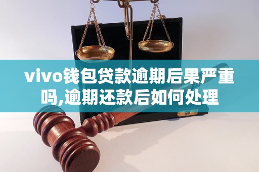 vivo钱包贷款逾期后果严重吗,逾期还款后如何处理