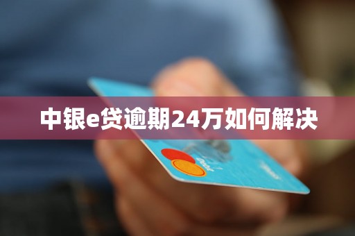 中银e贷逾期24万如何解决