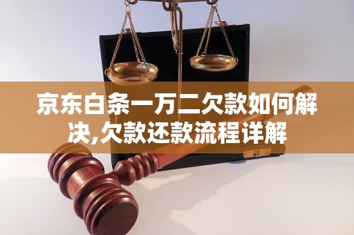 京东白条一万二欠款如何解决,欠款还款流程详解