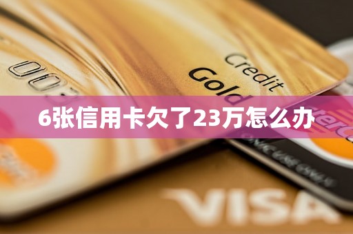 6张信用卡欠了23万怎么办