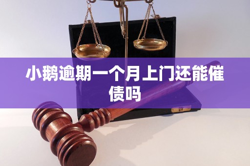 小鹅逾期一个月上门还能催债吗