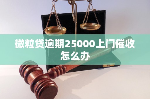 微粒贷逾期25000上门催收怎么办