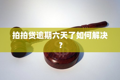 拍拍贷逾期六天了如何解决？