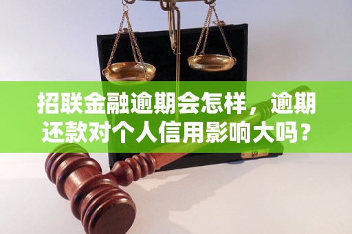 招联金融逾期会怎样，逾期还款对个人信用影响大吗？