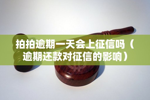 拍拍逾期一天会上征信吗（逾期还款对征信的影响）