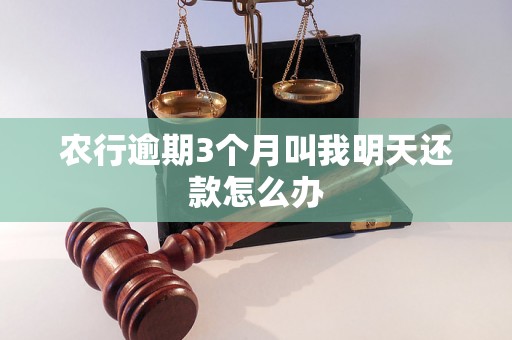 农行逾期3个月叫我明天还款怎么办