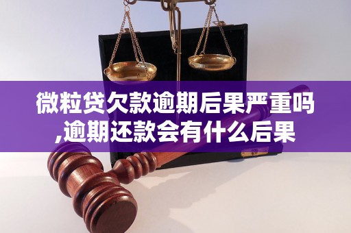 微粒贷欠款逾期后果严重吗,逾期还款会有什么后果