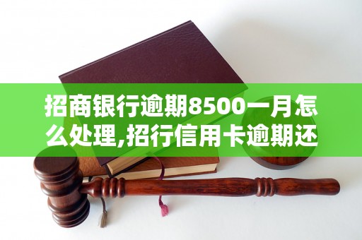 招商银行逾期8500一月怎么处理,招行信用卡逾期还款方法