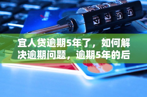 宜人贷逾期5年了，如何解决逾期问题，逾期5年的后果及解决办法