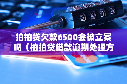 拍拍贷欠款6500会被立案吗（拍拍贷借款逾期处理方式）