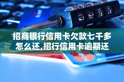 招商银行信用卡欠款七千多怎么还,招行信用卡逾期还款流程