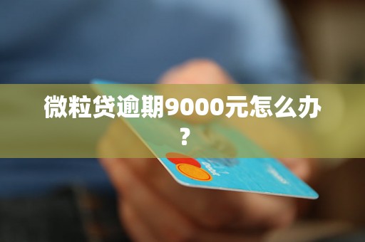 微粒贷逾期9000元怎么办？