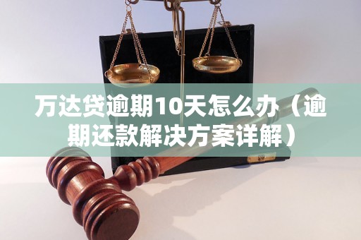 万达贷逾期10天怎么办（逾期还款解决方案详解）