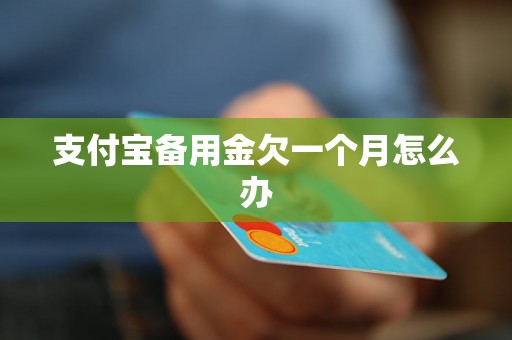 支付宝备用金欠一个月怎么办