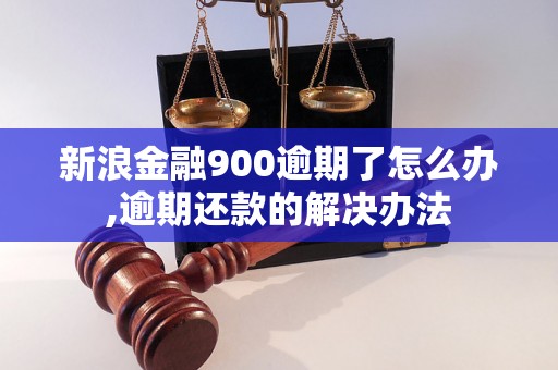 新浪金融900逾期了怎么办,逾期还款的解决办法