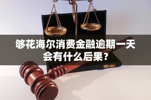 够花海尔消费金融逾期一天会有什么后果？