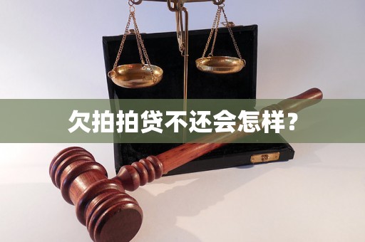 欠拍拍贷不还会怎样？