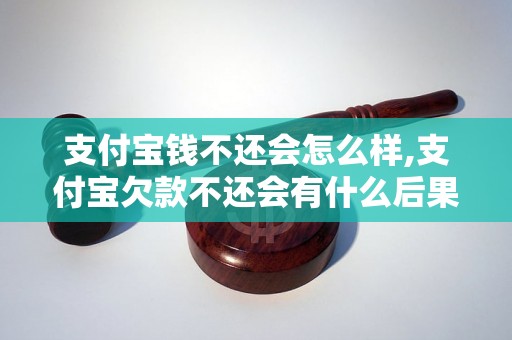 支付宝钱不还会怎么样,支付宝欠款不还会有什么后果