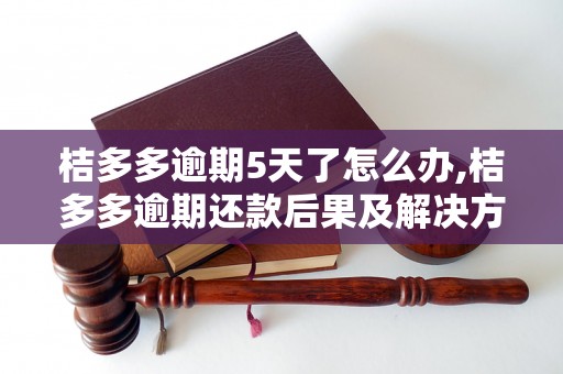 桔多多逾期5天了怎么办,桔多多逾期还款后果及解决方法