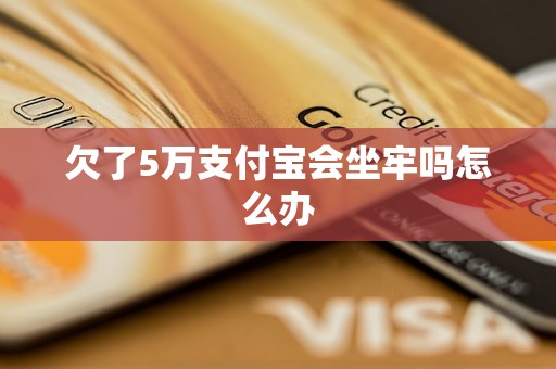 欠了5万支付宝会坐牢吗怎么办