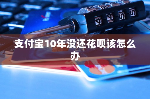 支付宝10年没还花呗该怎么办