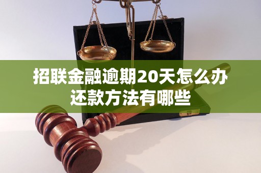 招联金融逾期20天怎么办还款方法有哪些